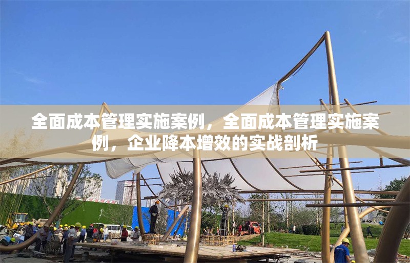 全面成本管理實(shí)施案例，全面成本管理實(shí)施案例，企業(yè)降本增效的實(shí)戰(zhàn)剖析，企業(yè)全面成本管理實(shí)戰(zhàn)案例，降本增效深度剖析