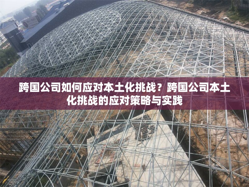 跨國公司如何應對本土化挑戰(zhàn)？跨國公司本土化挑戰(zhàn)的應對策略與實踐 行業(yè)新聞 第1張