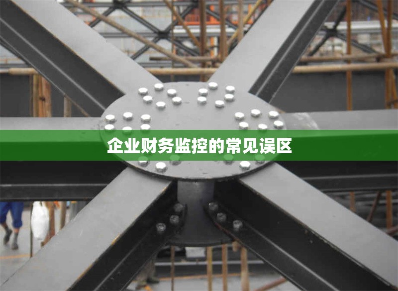 企業(yè)財(cái)務(wù)監(jiān)控的常見(jiàn)誤區(qū) 行業(yè)新聞 第1張 企業(yè)財(cái)務(wù)監(jiān)控的常見(jiàn)誤區(qū) 行業(yè)新聞 第1張