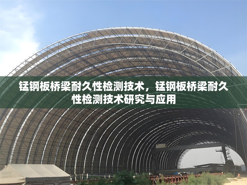 錳鋼板橋梁耐久性檢測(cè)技術(shù)，錳鋼板橋梁耐久性檢測(cè)技術(shù)研究與應(yīng)用