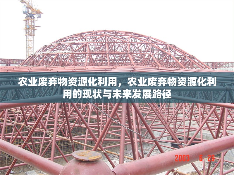 農(nóng)業(yè)廢棄物資源化利用，農(nóng)業(yè)廢棄物資源化利用的現(xiàn)狀與未來發(fā)展路徑