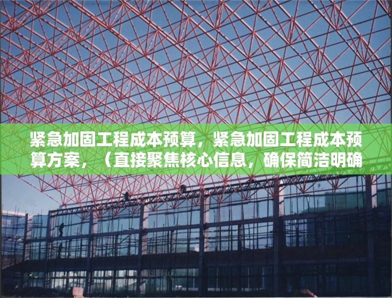 緊急加固工程成本預(yù)算，緊急加固工程成本預(yù)算方案，（直接聚焦核心信息，確保簡潔明確）