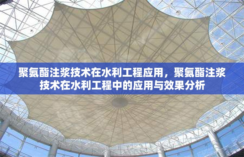聚氨酯注漿技術(shù)在水利工程應(yīng)用，聚氨酯注漿技術(shù)在水利工程中的應(yīng)用與效果分析