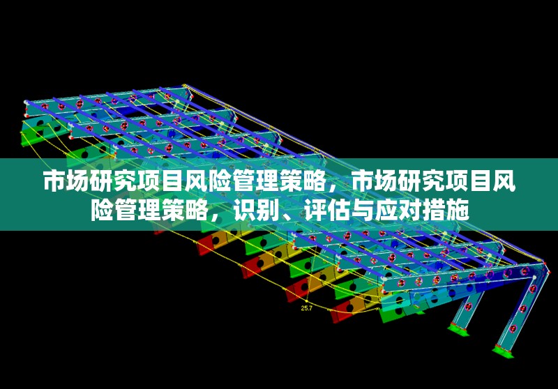 市場研究項目風(fēng)險管理策略，市場研究項目風(fēng)險管理策略，識別、評估與應(yīng)對措施