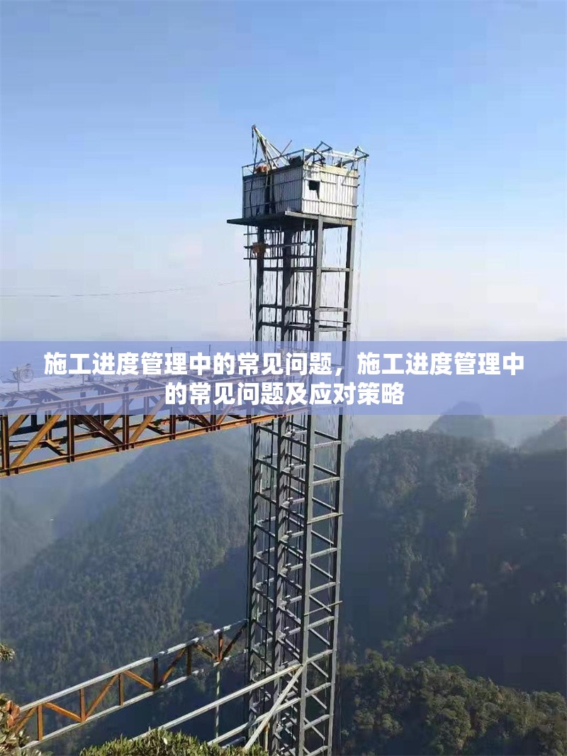 施工進度管理中的常見問題，施工進度管理中的常見問題及應對策略