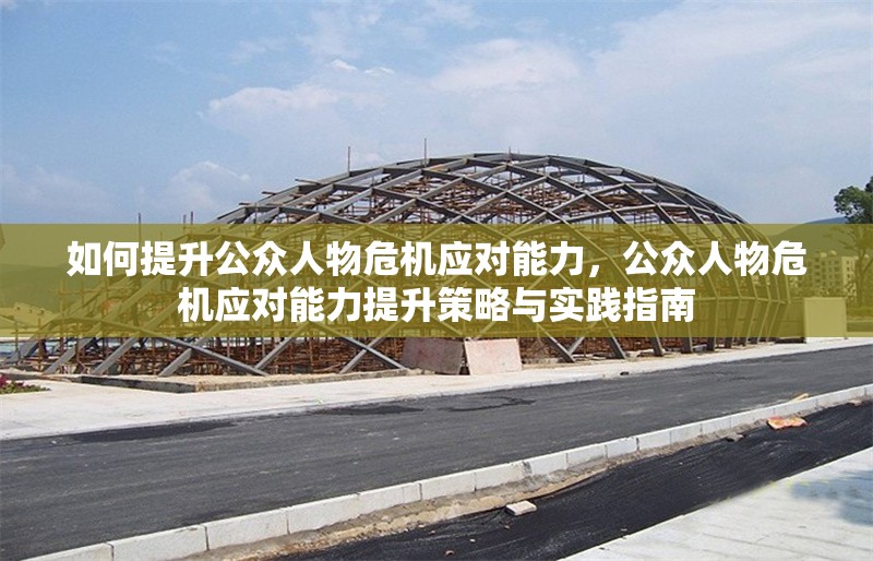 如何提升公眾人物危機應對能力，公眾人物危機應對能力提升策略與實踐指南 行業(yè)新聞 第1張