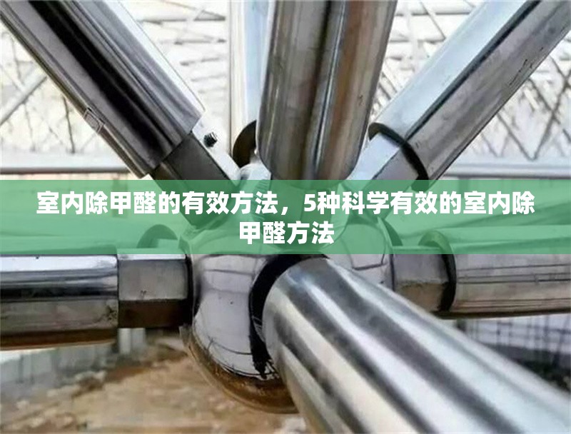 室內(nèi)除甲醛的有效方法，5種科學(xué)有效的室內(nèi)除甲醛方法