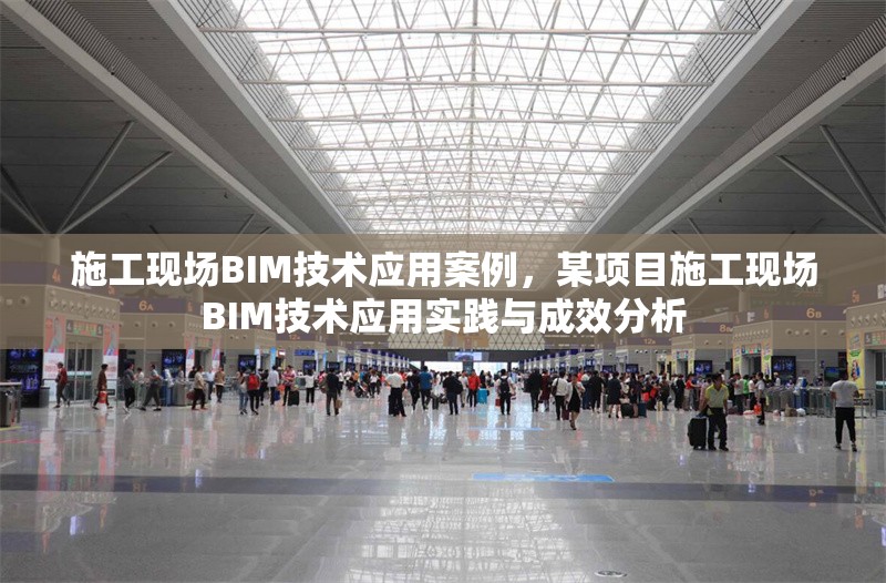 施工現(xiàn)場BIM技術(shù)應(yīng)用案例，某項(xiàng)目施工現(xiàn)場BIM技術(shù)應(yīng)用實(shí)踐與成效分析