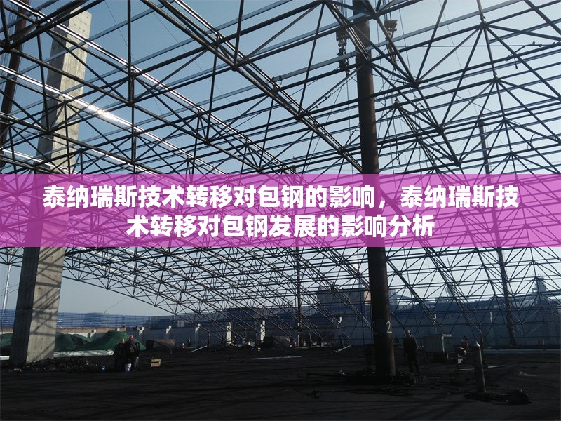 泰納瑞斯技術(shù)轉(zhuǎn)移對包鋼的影響，泰納瑞斯技術(shù)轉(zhuǎn)移對包鋼發(fā)展的影響分析