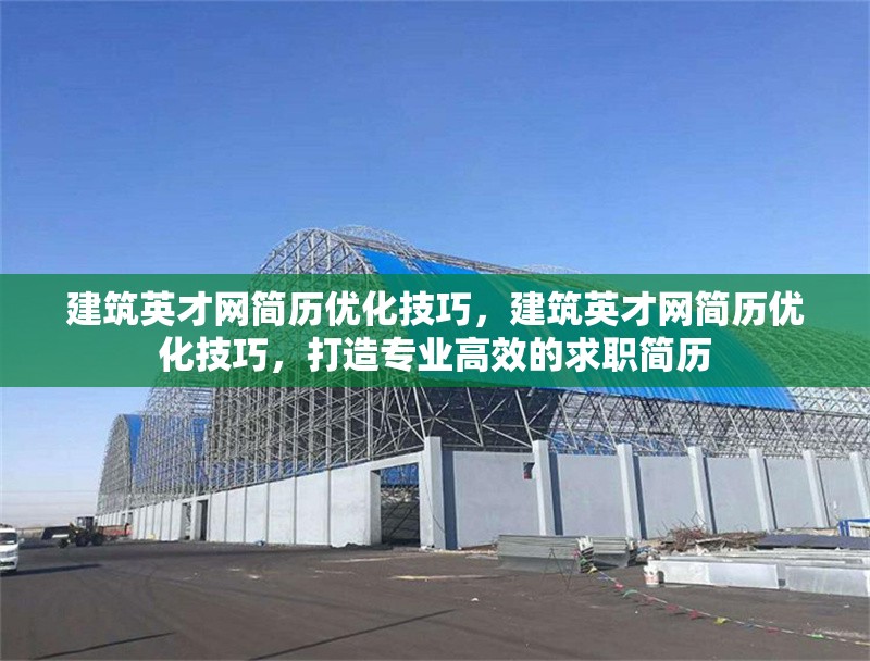建筑英才網(wǎng)簡(jiǎn)歷優(yōu)化技巧，建筑英才網(wǎng)簡(jiǎn)歷優(yōu)化技巧，打造專(zhuān)業(yè)高效的求職簡(jiǎn)歷