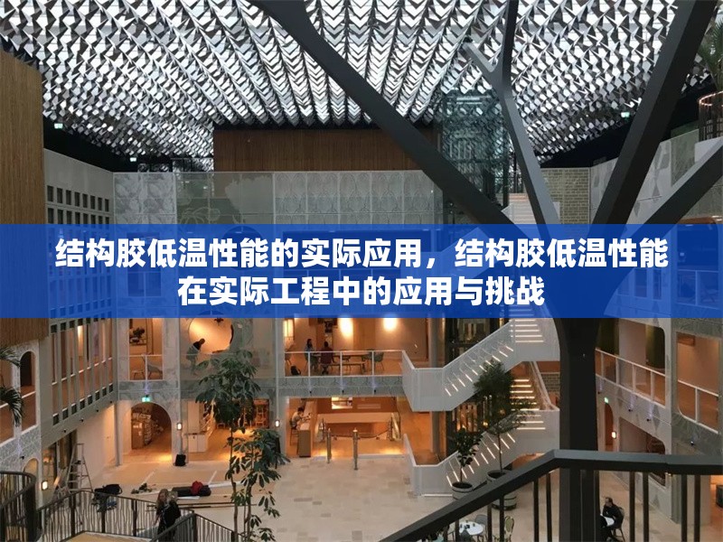 結(jié)構(gòu)膠低溫性能的實(shí)際應(yīng)用，結(jié)構(gòu)膠低溫性能在實(shí)際工程中的應(yīng)用與挑戰(zhàn)