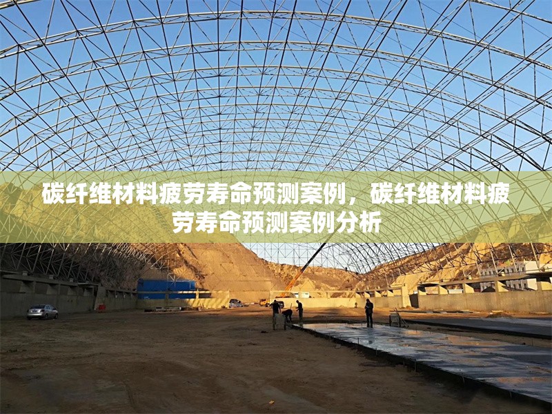 碳纖維材料疲勞壽命預(yù)測案例，碳纖維材料疲勞壽命預(yù)測案例分析