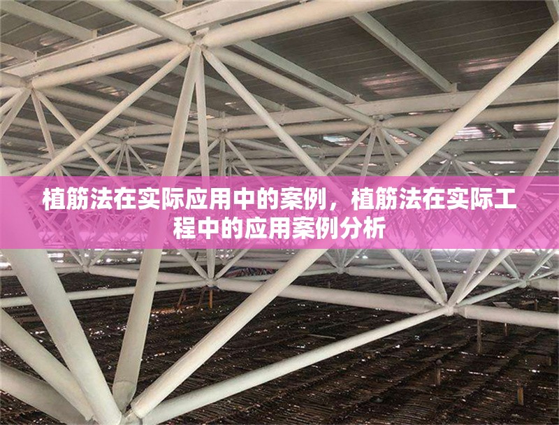 植筋法在實際應(yīng)用中的案例，植筋法在實際工程中的應(yīng)用案例分析