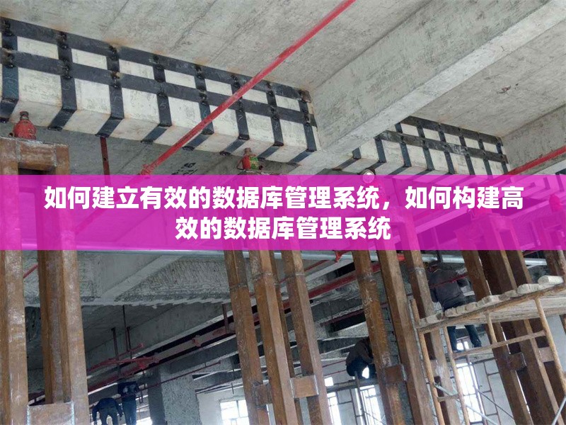 如何建立有效的數(shù)據(jù)庫(kù)管理系統(tǒng)，如何構(gòu)建高效的數(shù)據(jù)庫(kù)管理系統(tǒng)