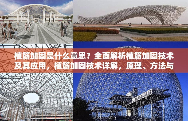 植筋加固是什么意思？全面解析植筋加固技術(shù)及其應(yīng)用，植筋加固技術(shù)詳解，原理、方法與應(yīng)用場(chǎng)景全解析