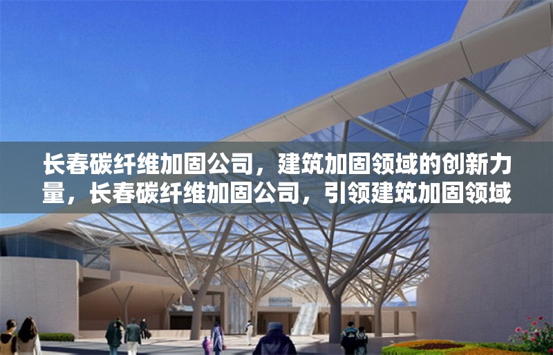 長春碳纖維加固公司，建筑加固領(lǐng)域的創(chuàng)新力量，長春碳纖維加固公司，引領(lǐng)建筑加固領(lǐng)域的創(chuàng)新先鋒