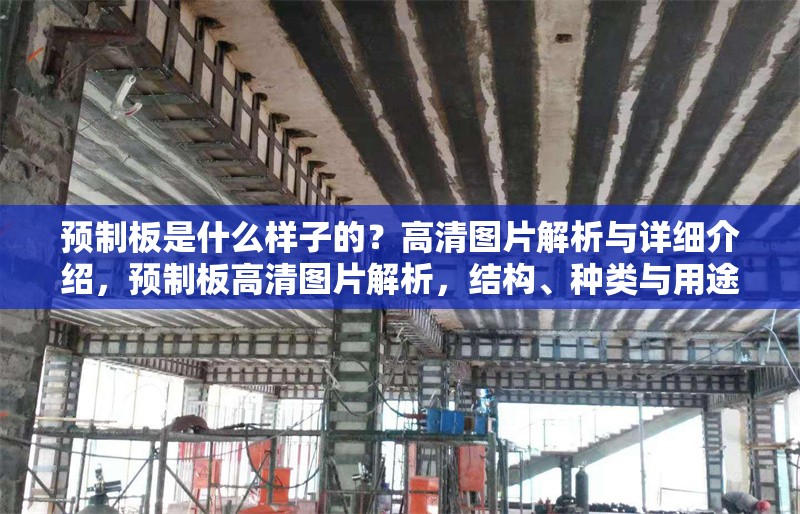 預(yù)制板是什么樣子的？高清圖片解析與詳細(xì)介紹，預(yù)制板高清圖片解析，結(jié)構(gòu)、種類與用途全覽