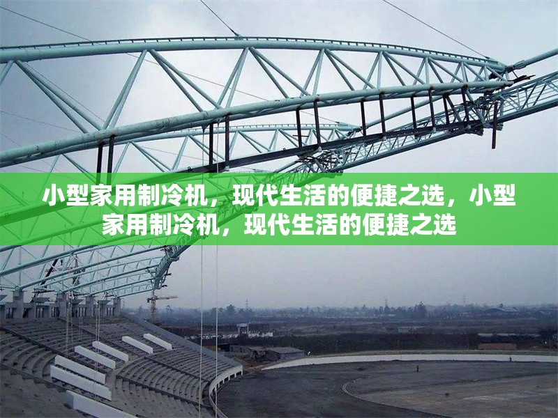 小型家用制冷機(jī)，現(xiàn)代生活的便捷之選，小型家用制冷機(jī)，現(xiàn)代生活的便捷之選