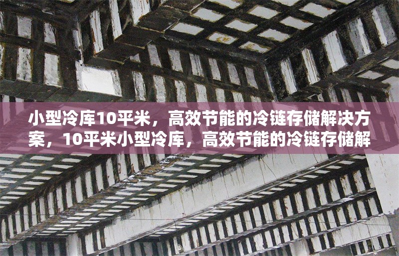小型冷庫(kù)10平米，高效節(jié)能的冷鏈存儲(chǔ)解決方案，10平米小型冷庫(kù)，高效節(jié)能的冷鏈存儲(chǔ)解決方案