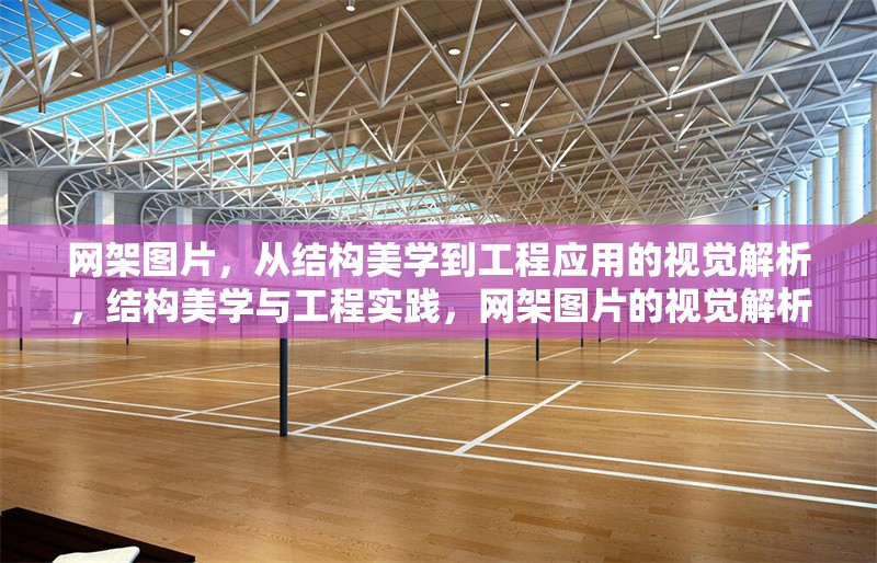 網(wǎng)架圖片，從結(jié)構(gòu)美學(xué)到工程應(yīng)用的視覺解析，結(jié)構(gòu)美學(xué)與工程實(shí)踐，網(wǎng)架圖片的視覺解析與應(yīng)用探索