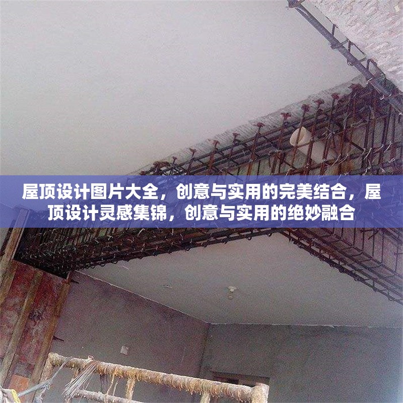 屋頂設(shè)計(jì)圖片大全，創(chuàng)意與實(shí)用的完美結(jié)合，屋頂設(shè)計(jì)靈感集錦，創(chuàng)意與實(shí)用的絕妙融合