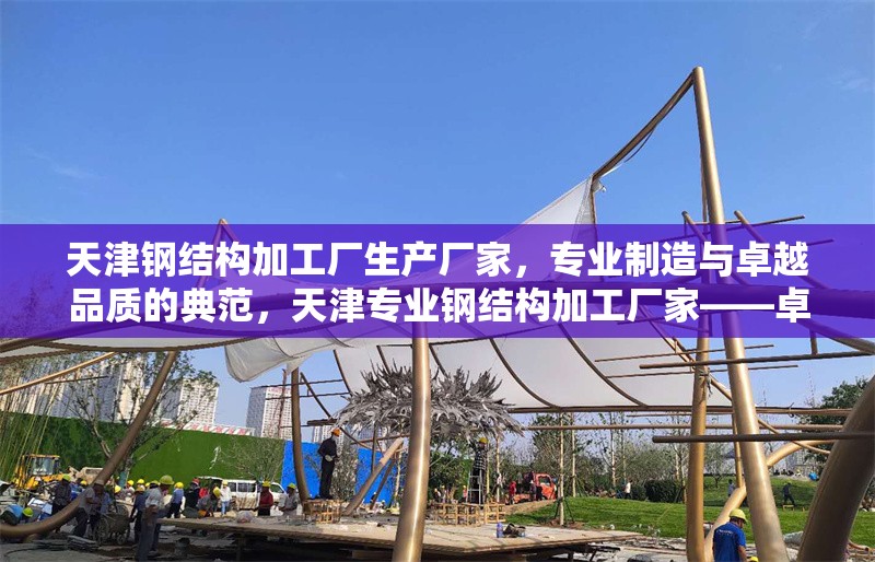天津鋼結(jié)構(gòu)加工廠生產(chǎn)廠家，專業(yè)制造與卓越品質(zhì)的典范，天津?qū)I(yè)鋼結(jié)構(gòu)加工廠家——卓越品質(zhì)與精湛制造的行業(yè)典范