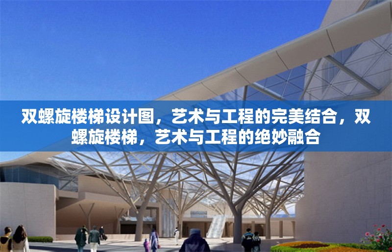 雙螺旋樓梯設(shè)計圖，藝術(shù)與工程的完美結(jié)合，雙螺旋樓梯，藝術(shù)與工程的絕妙融合