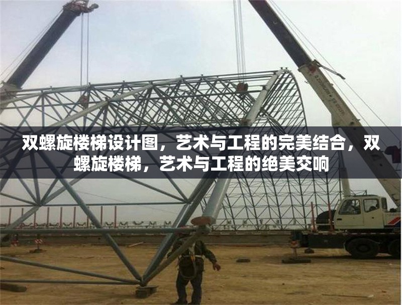 雙螺旋樓梯設(shè)計圖，藝術(shù)與工程的完美結(jié)合，雙螺旋樓梯，藝術(shù)與工程的絕美交響