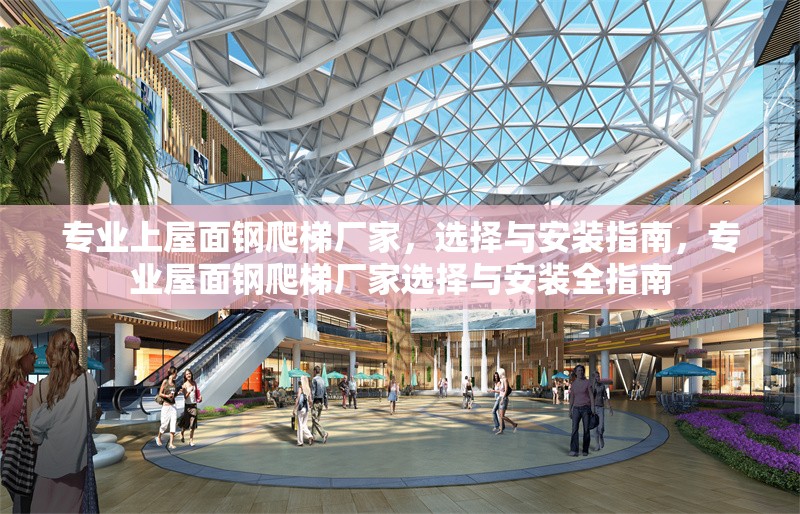 專業(yè)上屋面鋼爬梯廠家，選擇與安裝指南，專業(yè)屋面鋼爬梯廠家選擇與安裝全指南 行業(yè)新聞