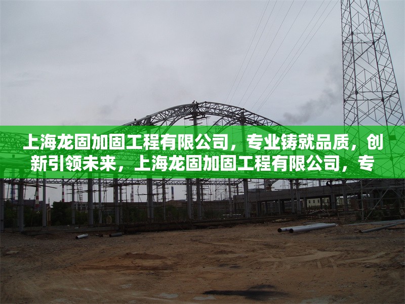 上海龍固加固工程有限公司，專業(yè)鑄就品質(zhì)，創(chuàng)新引領(lǐng)未來，上海龍固加固工程有限公司，專業(yè)鑄就品質(zhì)，創(chuàng)新引領(lǐng)未來