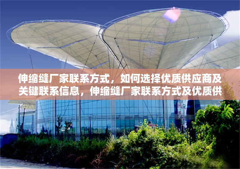 伸縮縫廠家聯(lián)系方式，如何選擇優(yōu)質(zhì)供應(yīng)商及關(guān)鍵聯(lián)系信息，伸縮縫廠家聯(lián)系方式及優(yōu)質(zhì)供應(yīng)商選擇指南 行業(yè)新聞