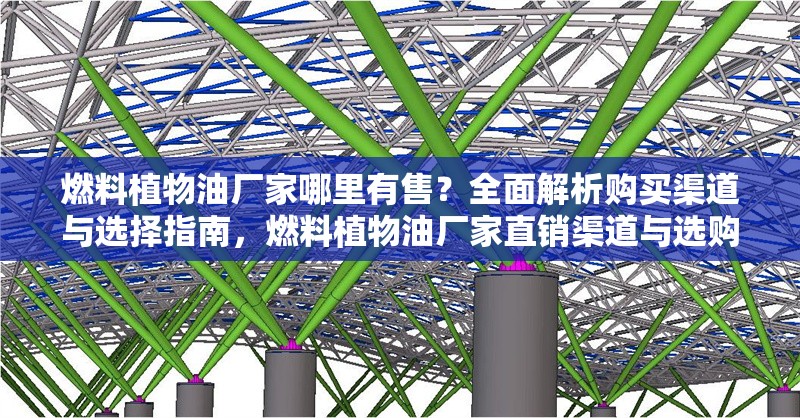 燃料植物油廠家哪里有售？全面解析購買渠道與選擇指南，燃料植物油廠家直銷渠道與選購指南全解析