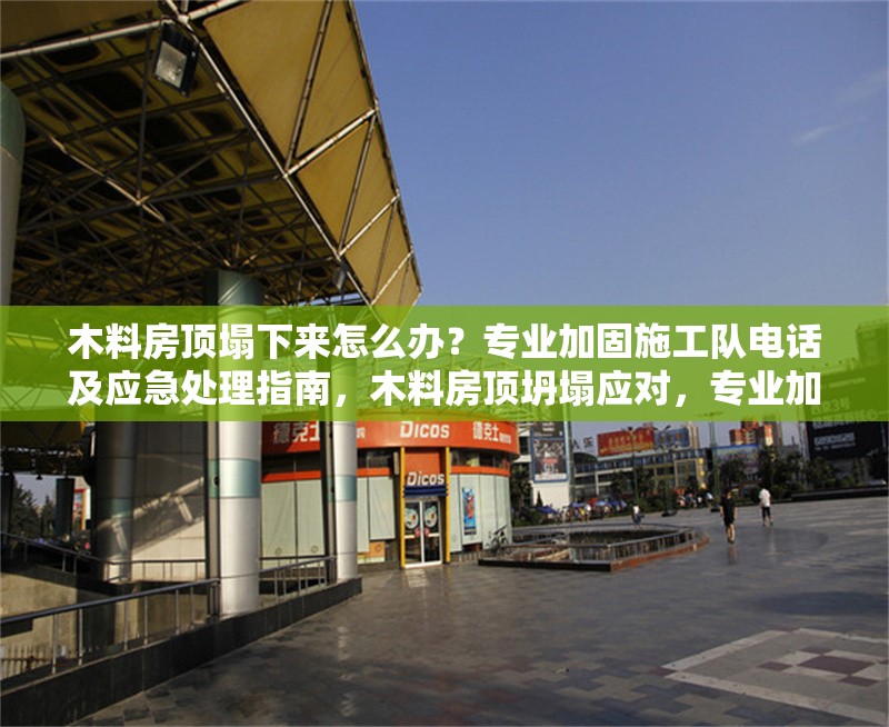 木料房頂塌下來怎么辦？專業(yè)加固施工隊電話及應急處理指南，木料房頂坍塌應對，專業(yè)加固隊電話與應急處理 行業(yè)新聞