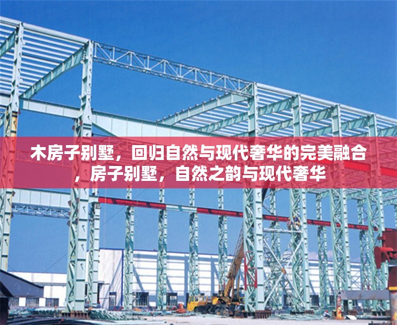 木房子別墅，回歸自然與現(xiàn)代奢華的完美融合，房子別墅，自然之韻與現(xiàn)代奢華