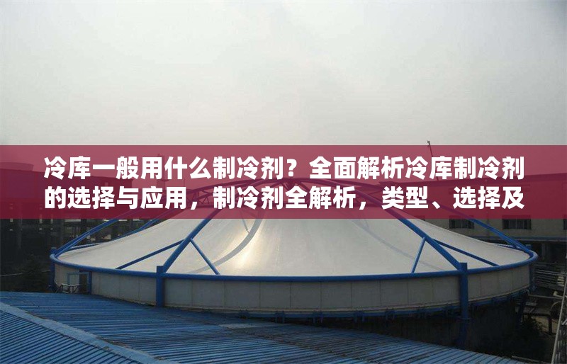冷庫一般用什么制冷劑？全面解析冷庫制冷劑的選擇與應用，制冷劑全解析，類型、選擇及 行業(yè)新聞
