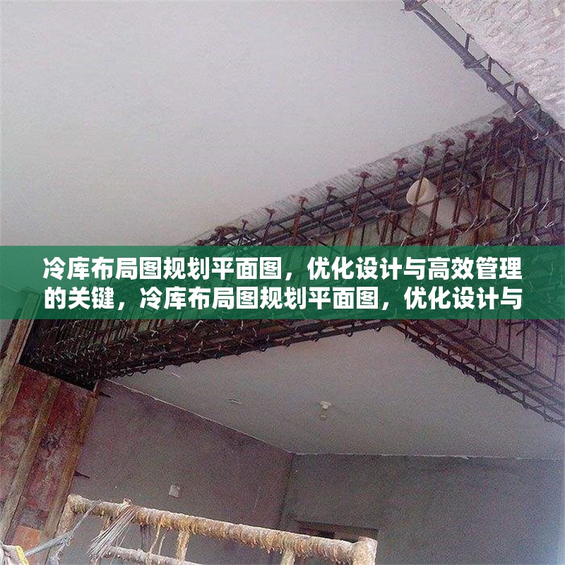 冷庫布局圖規(guī)劃平面圖，優(yōu)化設(shè)計(jì)與高效管理的關(guān)鍵，冷庫布局圖規(guī)劃平面圖，優(yōu)化設(shè)計(jì)與高效管理要點(diǎn)解析