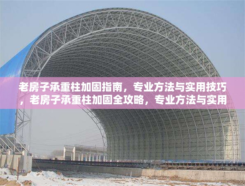 老房子承重柱加固指南，專業(yè)方法與實用技巧，老房子承重柱加固全攻略，專業(yè)方法與實用技巧詳解 行業(yè)新聞