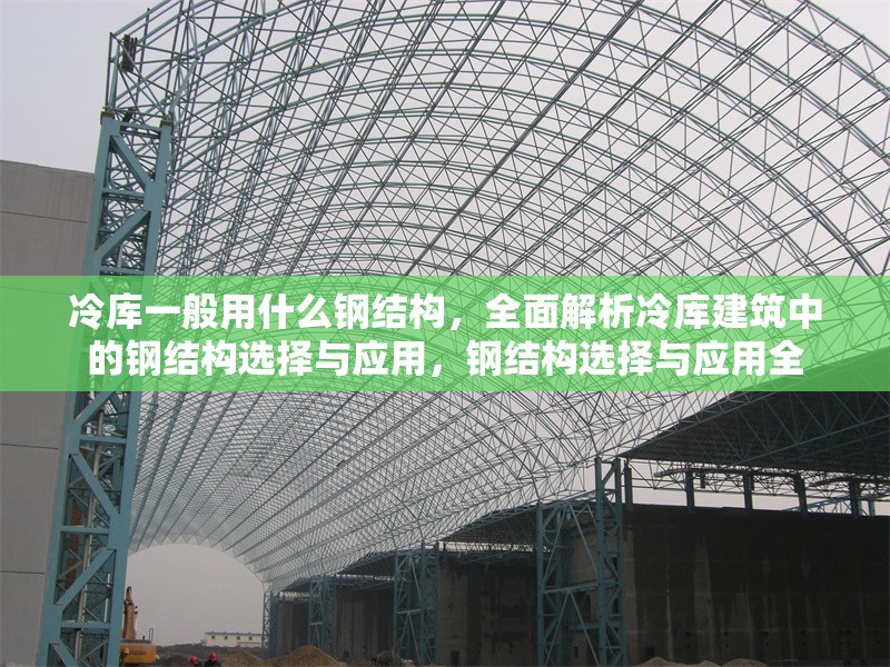 冷庫一般用什么鋼結(jié)構(gòu)，全面解析冷庫建筑中的鋼結(jié)構(gòu)選擇與應(yīng)用，鋼結(jié)構(gòu)選擇與應(yīng)用全 行業(yè)新聞