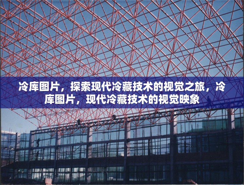冷庫圖片，探索現(xiàn)代冷藏技術(shù)的視覺之旅，冷庫圖片，現(xiàn)代冷藏技術(shù)的視覺映象 行業(yè)新聞
