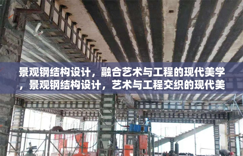 景觀鋼結(jié)構(gòu)設(shè)計，融合藝術(shù)與工程的現(xiàn)代美學(xué)，景觀鋼結(jié)構(gòu)設(shè)計，藝術(shù)與工程交織的現(xiàn)代美學(xué)華章 行業(yè)新聞