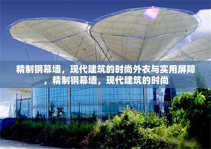 精制鋼幕墻，現(xiàn)代建筑的時(shí)尚外衣與實(shí)用屏障，精制鋼幕墻，現(xiàn)代建筑的時(shí)尚 行業(yè)新聞