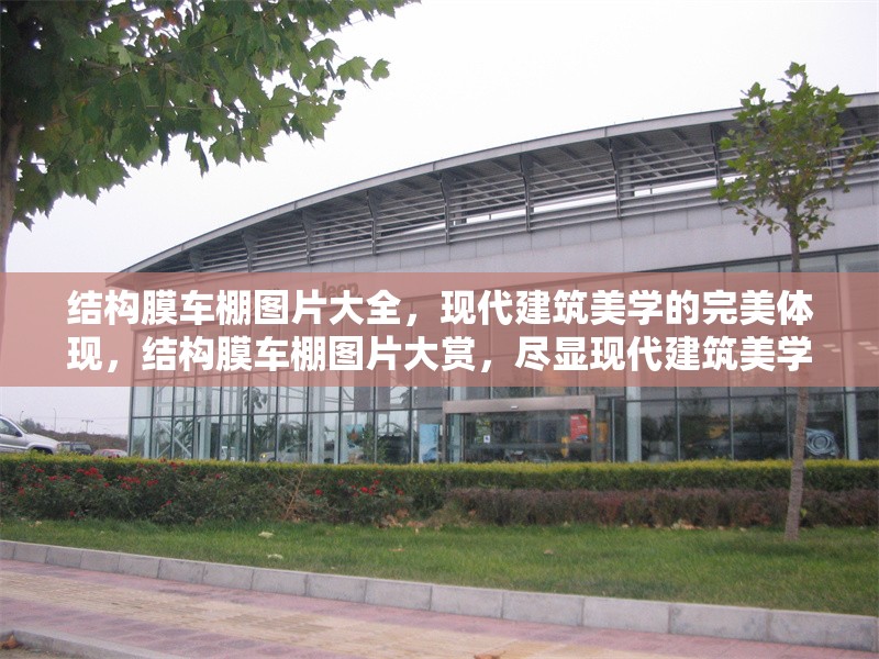 結(jié)構(gòu)膜車棚圖片大全，現(xiàn)代建筑美學(xué)的完美體現(xiàn)，結(jié)構(gòu)膜車棚圖片大賞，盡顯現(xiàn)代建筑美學(xué)魅力