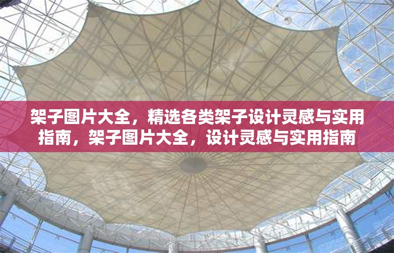 架子圖片大全，精選各類架子設(shè)計(jì)靈感與實(shí)用指南，架子圖片大全，設(shè)計(jì)靈感與實(shí)用指南 行業(yè)新聞