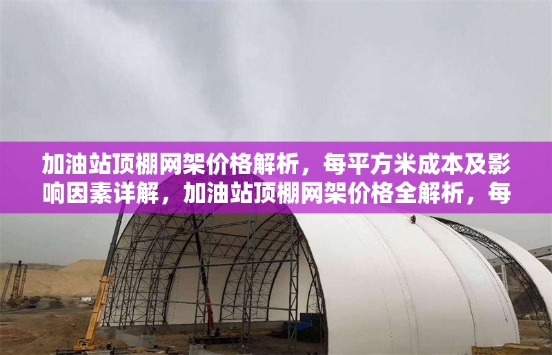 加油站頂棚網(wǎng)架價格解析，每平方米成本及影響因素詳解，加油站頂棚網(wǎng)架價格全解析，每平成本與影響因素 行業(yè)新聞