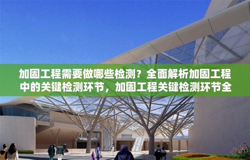 加固工程需要做哪些檢測(cè)？全面解析加固工程中的關(guān)鍵檢測(cè)環(huán)節(jié)，加固工程關(guān)鍵檢測(cè)環(huán)節(jié)全解析，必做項(xiàng)目及要點(diǎn)詳解 行業(yè)新聞