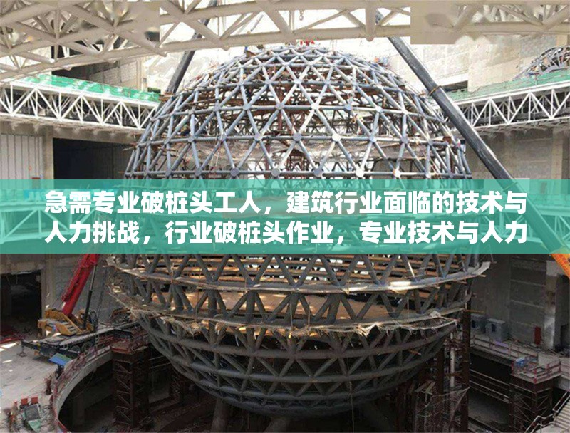 急需專業(yè)破樁頭工人，建筑行業(yè)面臨的技術(shù)與人力挑戰(zhàn)，行業(yè)破樁頭作業(yè)，專業(yè)技術(shù)與人力雙重挑戰(zhàn)下的工人需求 行業(yè)新聞
