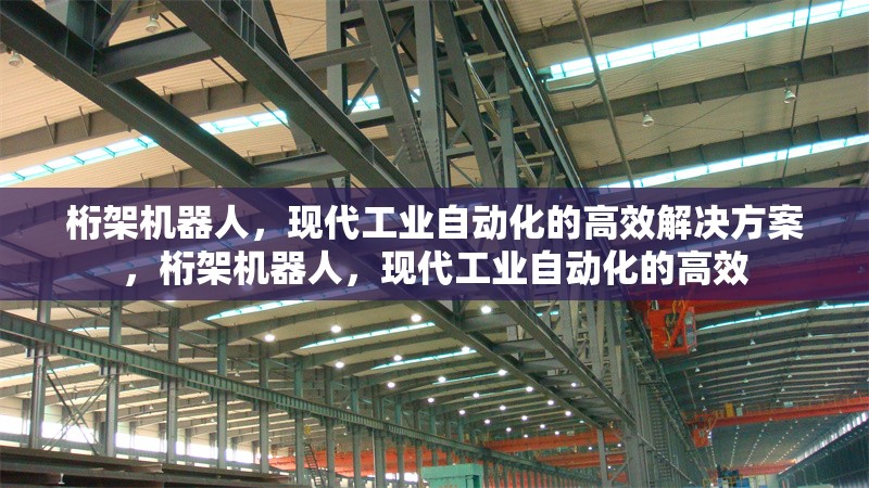 桁架機器人，現(xiàn)代工業(yè)自動化的高效解決方案，桁架機器人，現(xiàn)代工業(yè)自動化的高效 行業(yè)新聞