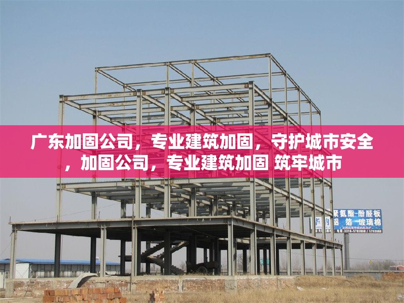 廣東加固公司，專業(yè)建筑加固，守護(hù)城市安全，加固公司，專業(yè)建筑加固 筑牢城市 行業(yè)新聞