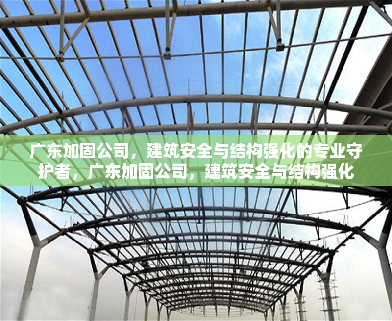 廣東加固公司，建筑安全與結(jié)構(gòu)強(qiáng)化的專業(yè)守護(hù)者，廣東加固公司，建筑安全與結(jié)構(gòu)強(qiáng)化