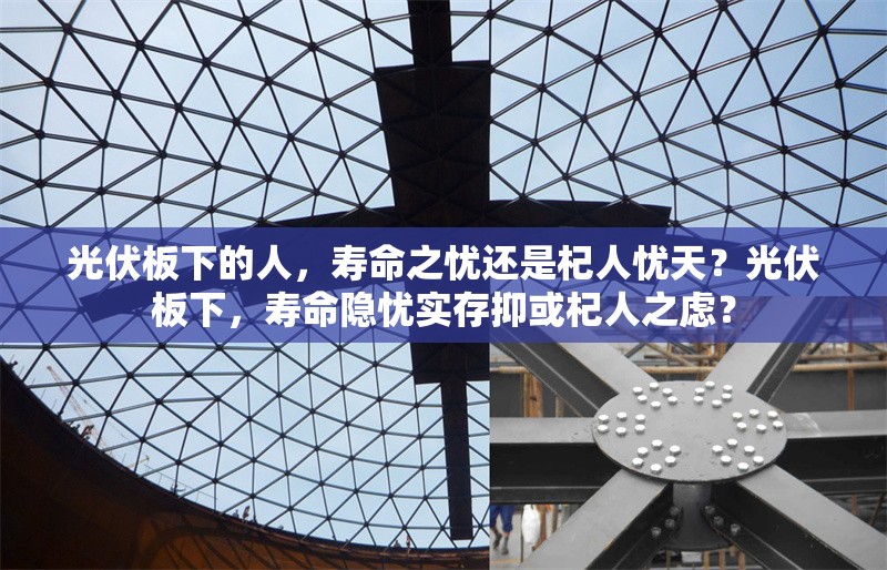 光伏板下的人，壽命之憂還是杞人憂天？光伏板下，壽命隱憂實存抑或杞人之慮？ 行業(yè)新聞